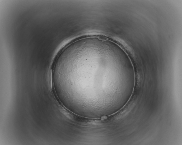 X0000110761175200906221116