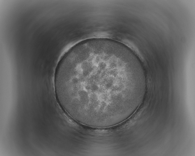 X0000110761176200906221116