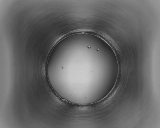 X0000110761177200906221116