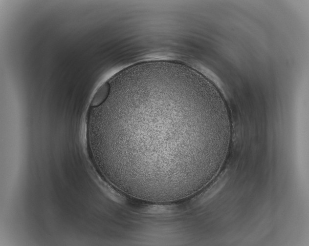 X0000110761179200906221116