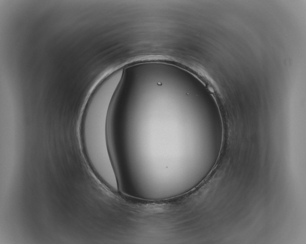 X0000110761181200906221116