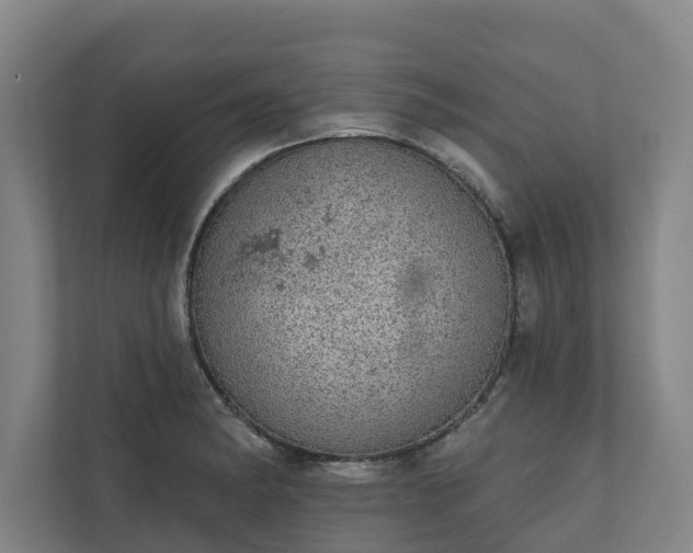 X0000110761182200906221116