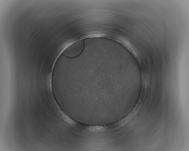 X0000110761186200906221116