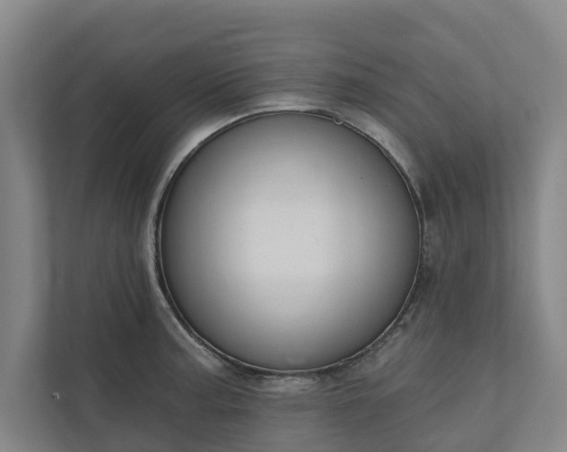 X0000110761187200906221116