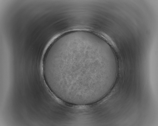 X0000110761188200906221116