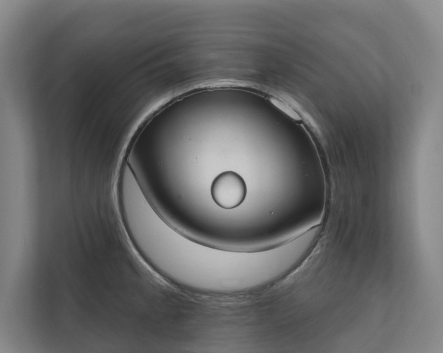 X0000110761189200906221116