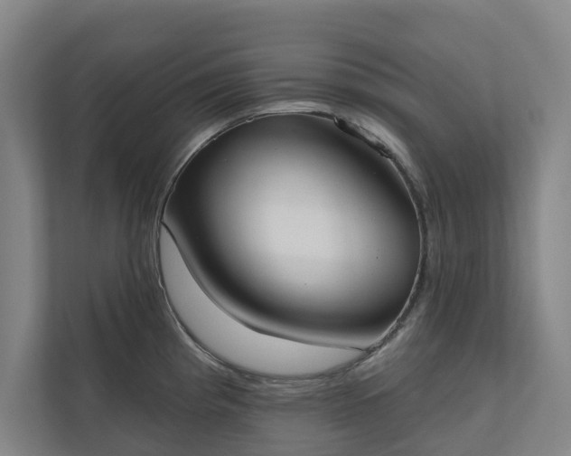 X0000110761193200906221116