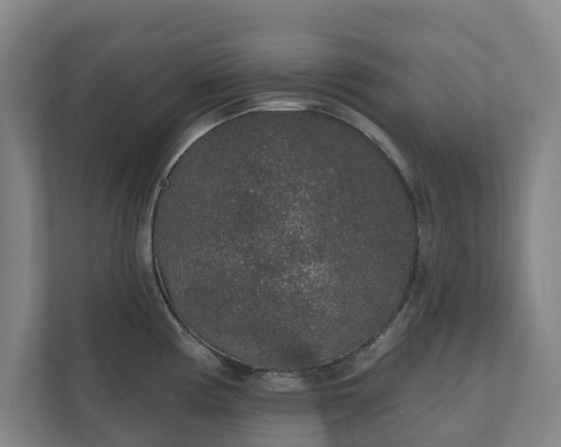 X0000110761194200906221116
