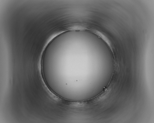 X0000110761195200906221116
