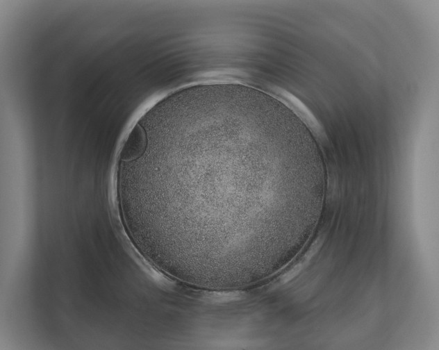 X0000110761196200906221116
