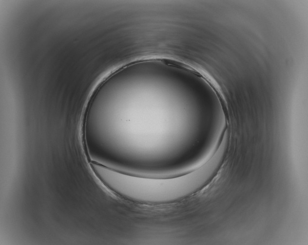 X0000110761197200906221116