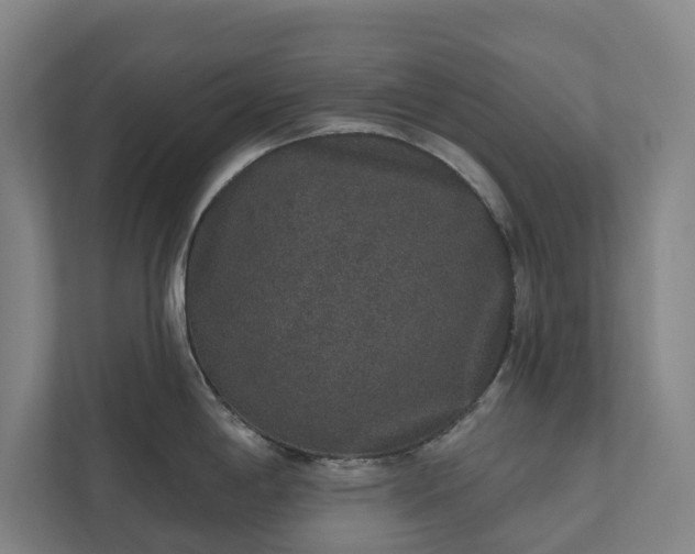 X0000110761198200906221116