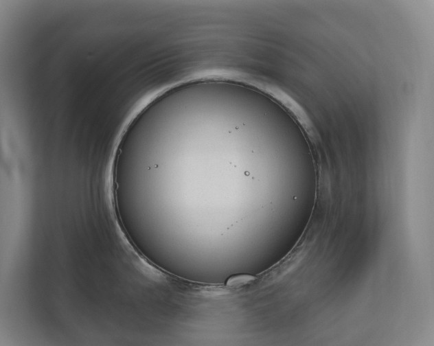 X0000110761199200906221116