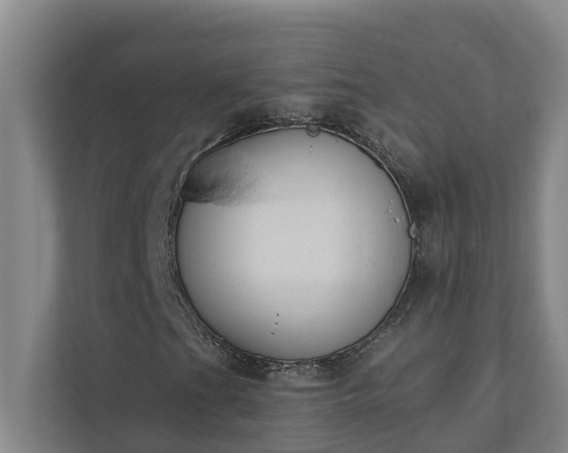 X0000110761201200906221115