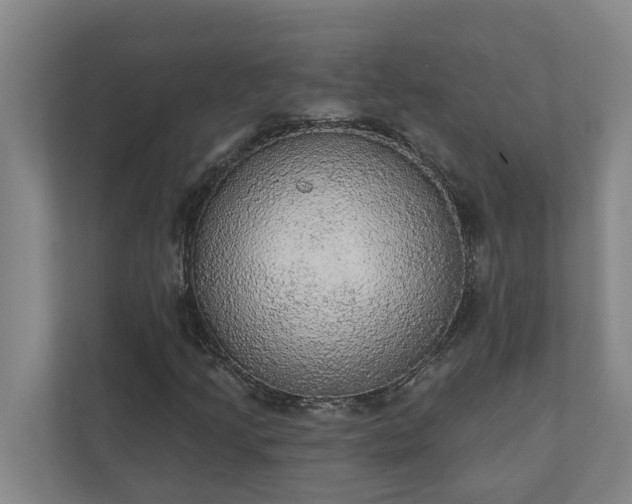 X0000110761205200906221115