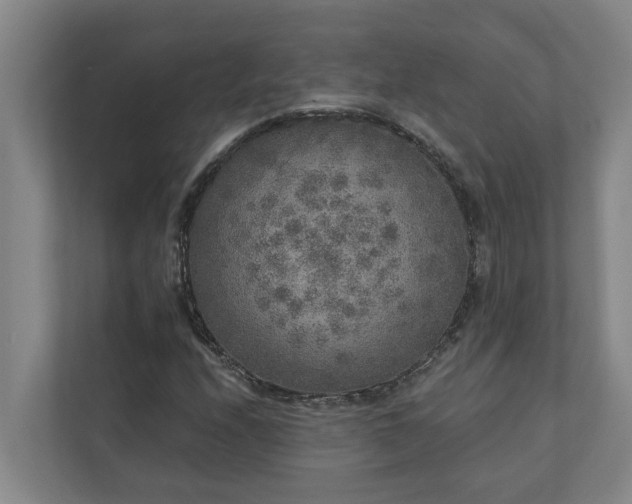 X0000110761208200906221115