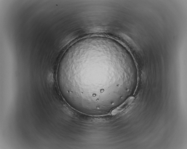 X0000110761209200906221115