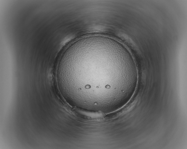 X0000110761210200906221115
