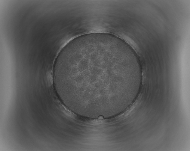 X0000110761212200906221115