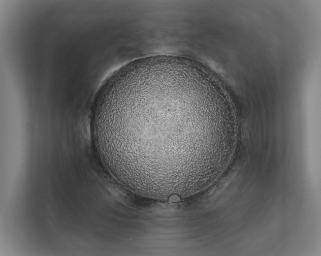 X0000110761214200906221115