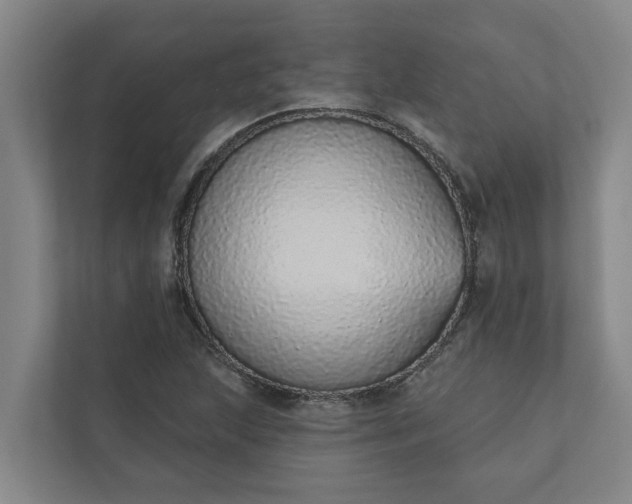 X0000110761215200906221115