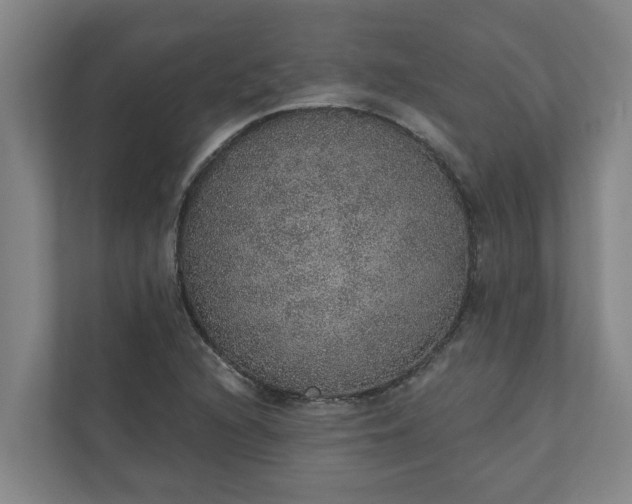 X0000110761216200906221115