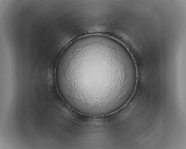 X0000110761217200906221115