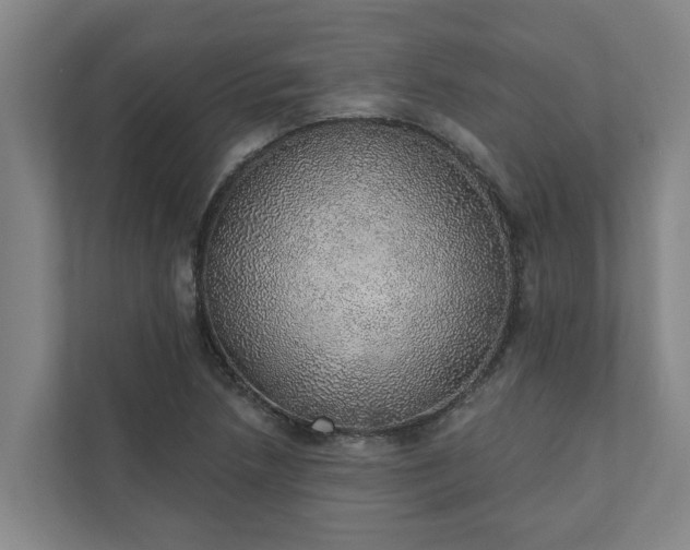 X0000110761218200906221115