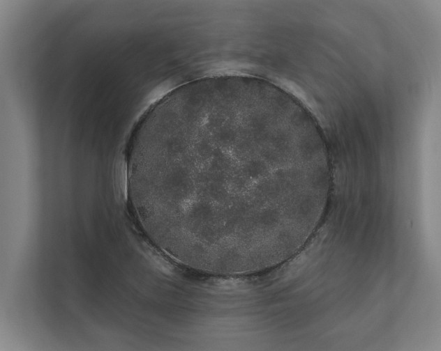 X0000110761219200906221115