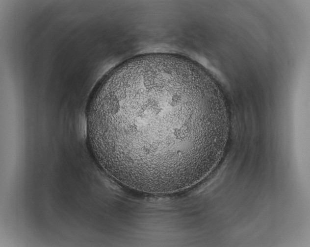 X0000110761221200906221115