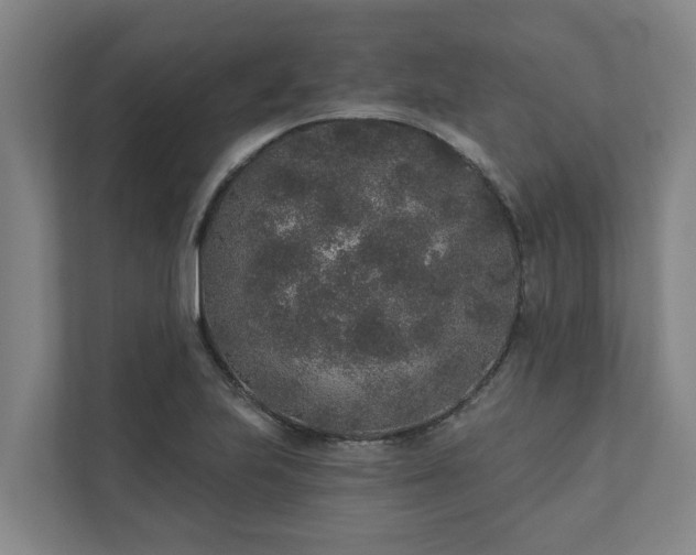 X0000110761223200906221115