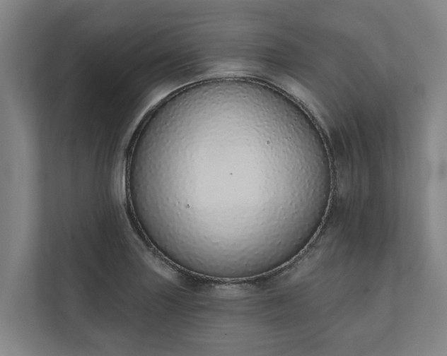 X0000110761227200906221115