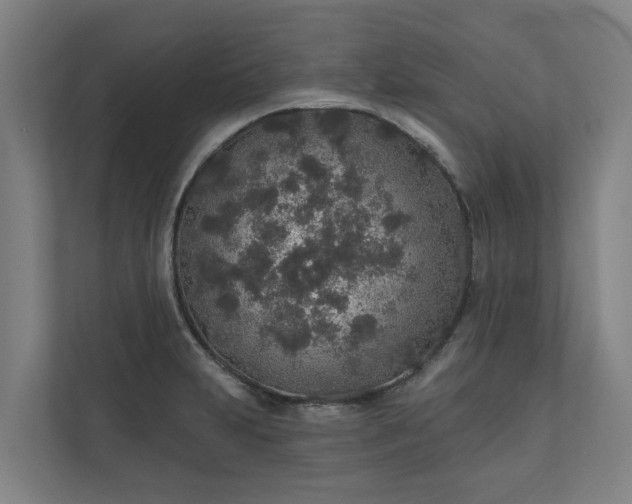 X0000110761231200906221115