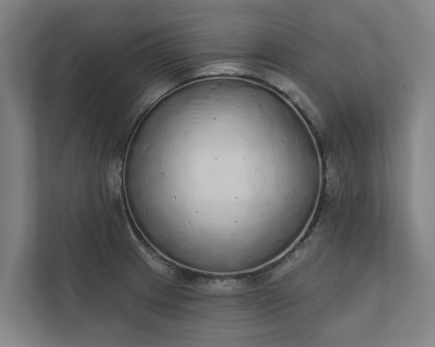 X0000110761233200906221115