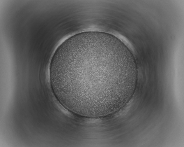 X0000110761238200906221116