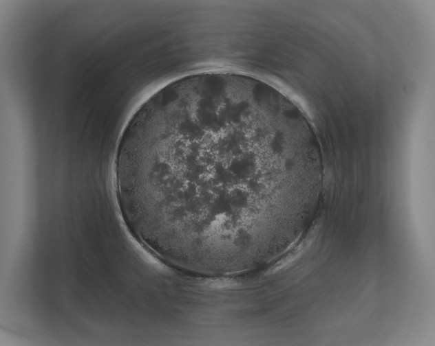 X0000110761239200906221116