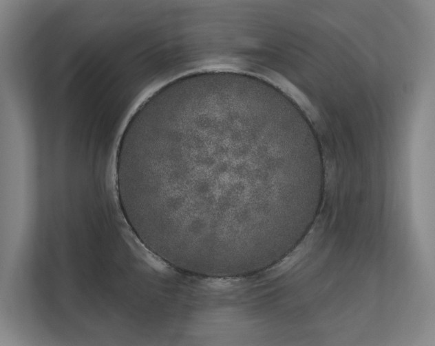 X0000110761240200906221116