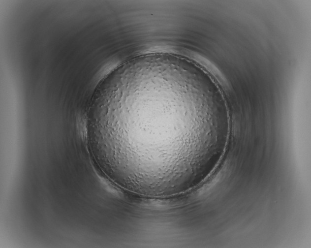 X0000110761241200906221116