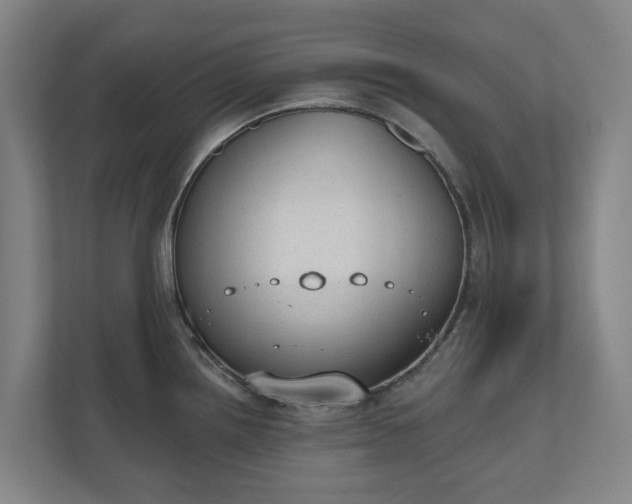 X0000110761242200906221116