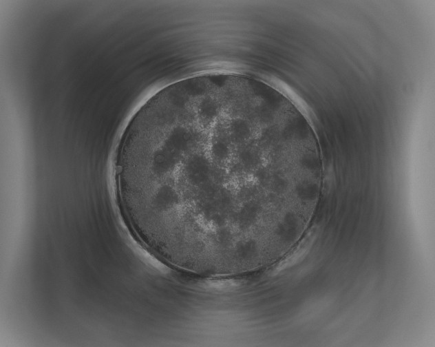X0000110761243200906221116