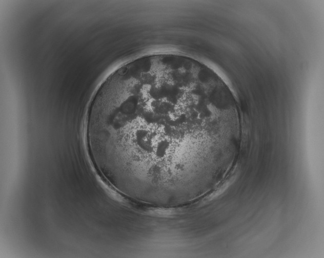 X0000110761245200906221116