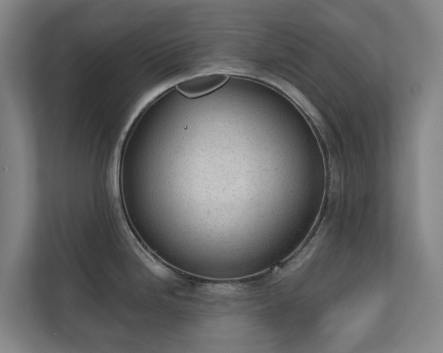 X0000110761246200906221116