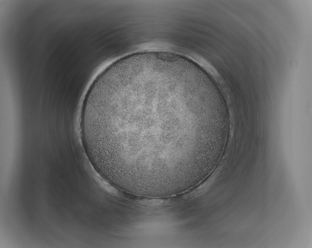 X0000110761248200906221116