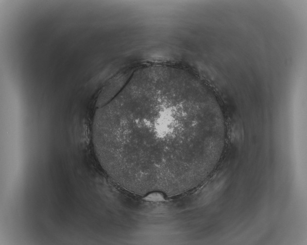 X0000110761253200906221115