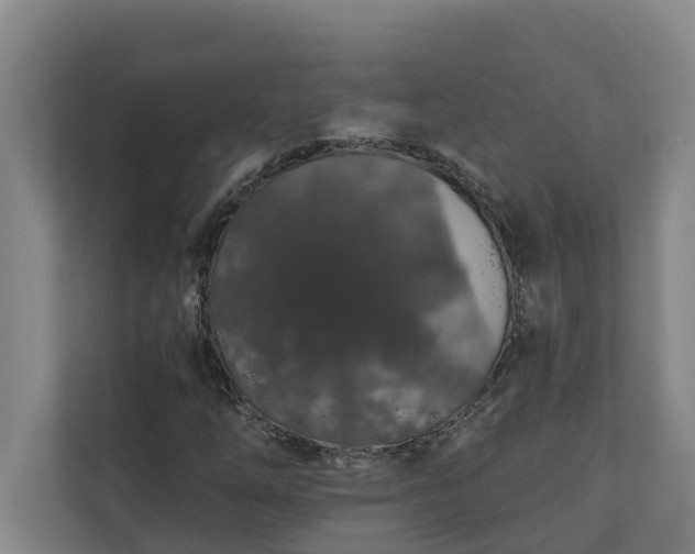 X0000110761254200906221115