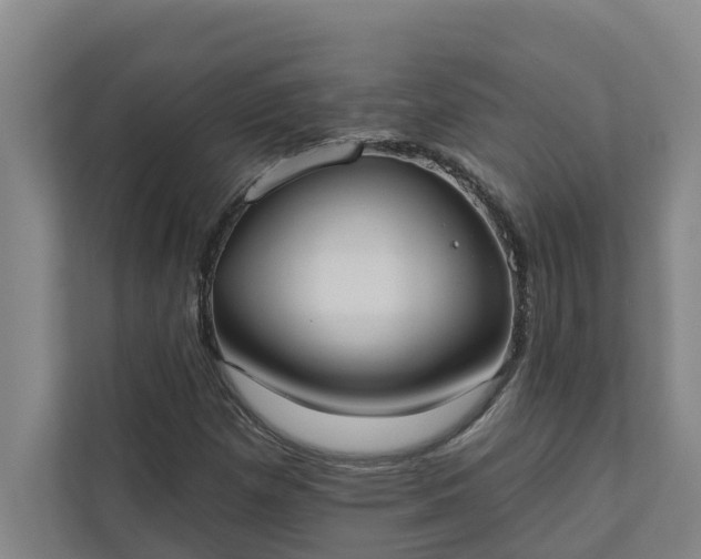 X0000110761257200906221115