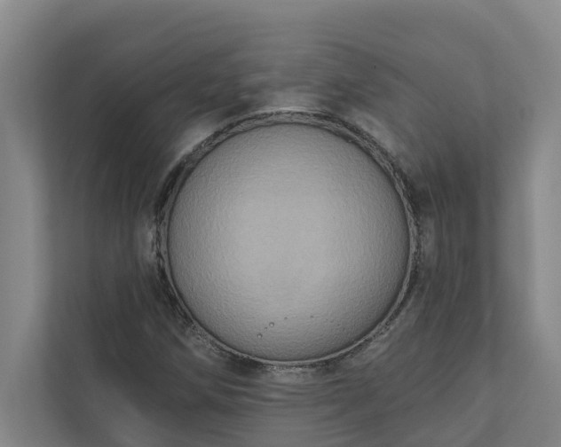 X0000110761258200906221115