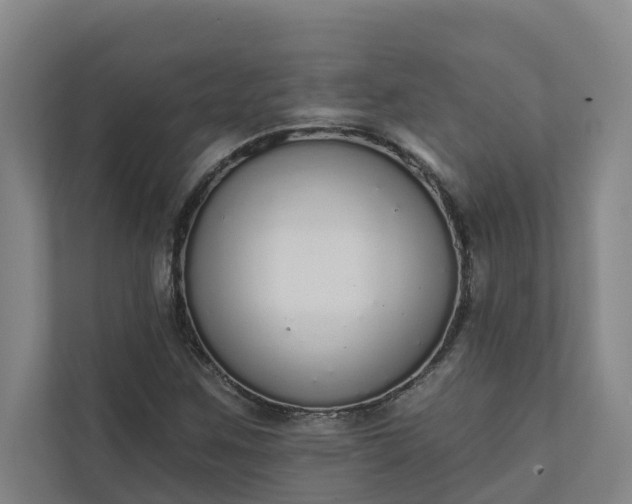 X0000110761259200906221115