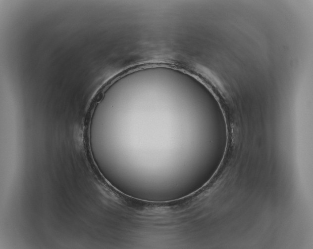 X0000110761260200906221115