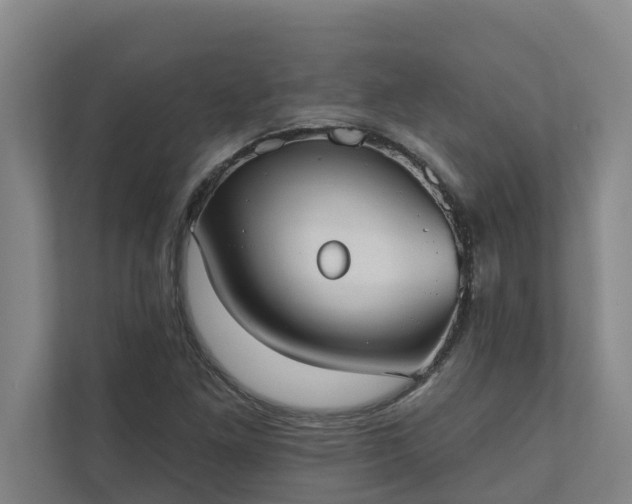 X0000110761261200906221115